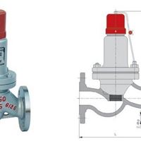 供应上海AHN42F铸钢法兰平行式安全回流阀