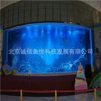 定做大型亚克力水族箱   商场水族馆工程  生态亚克力鱼缸