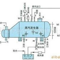 蒸汽发生器 纯蒸汽发生器