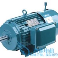 电磁制动电机YEJ180L-4-22KW