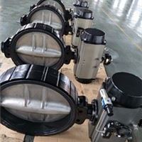 Butterfly Valve 江苏爱诺阀门