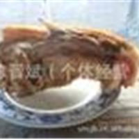 猪 猪肉 香猪 香猪肉 藏香猪肉