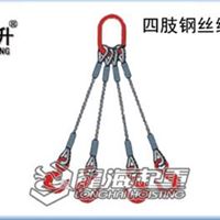 龙升双肢钢丝绳索具，化工用起重牵引索具，龙海供应