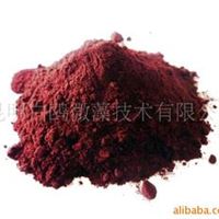 雨生红球藻粉（含虾青素1.5%)-astaxanthin