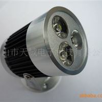 3*1W LED 射灯 TY