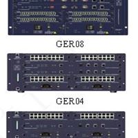 咸宁中兴ZXR10GER通用高性能路由器