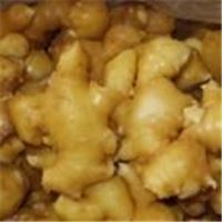 Ginger Extract