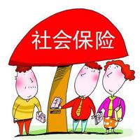 社保个人办理 代理企业五险一金