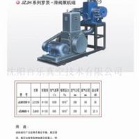 真空泵JZJH系列罗茨-滑阀泵