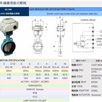 台湾RING东光阀门FIG.093E铸铁电动式蝶阀