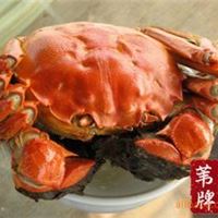 阳澄湖大闸蟹公 4.7-4.9两88元/只