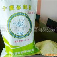 质优价廉小麦谷朊粉 食品级