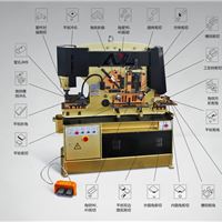 安徽亚联 Q35YL-250 联合冲剪机厂家直供