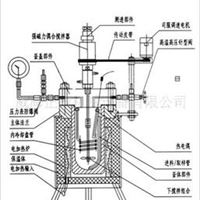 实验室高压不锈钢反应釜，小型实验室磁力高压反应