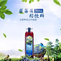 33°蓝 蓝莓果粒果汁饮料420ml