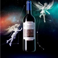 法国进口星座红酒sissone双子星座葡萄酒