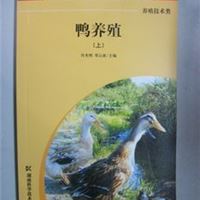 鸭养殖  肖光明 康易正版图书批发3.5折  农业科技书 农村建设